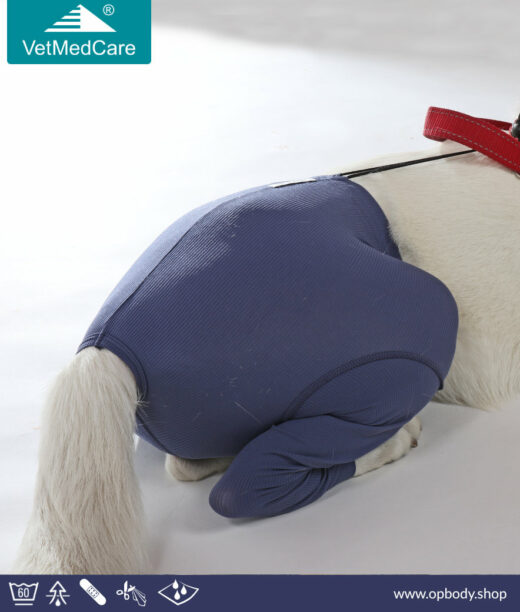 VetMedCare Hund Safety Pants - Sicherheitshosen blau