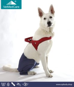 VetMedCare Hund Safety Pants - Sicherheitshosen blau