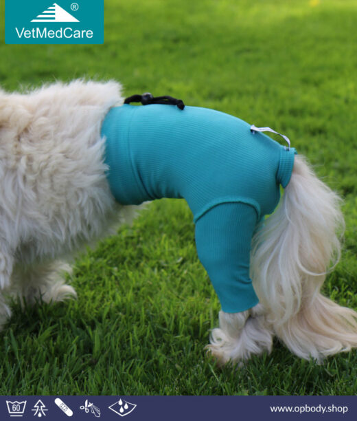 VetMedCare Hund Safety Pants - Sicherheitshosen türkis