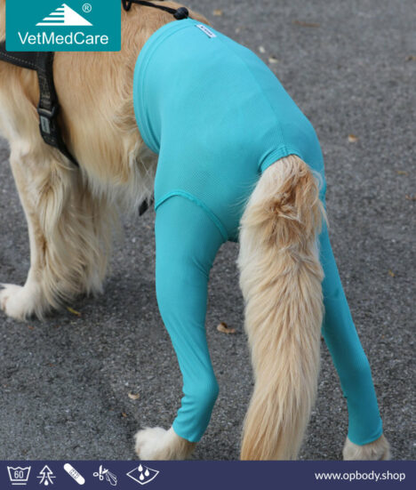 VetMedCare Hund Safety Pants - Sicherheitshosen türkis