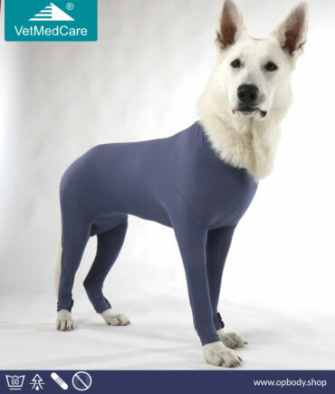 VetMedCare Hund Body für Hündin - blau