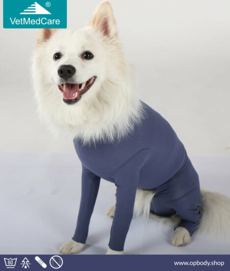 VetMedCare Hund Body für Rüde - blau