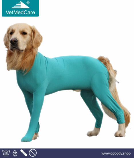 VetMedCare Hund Body für Rüde