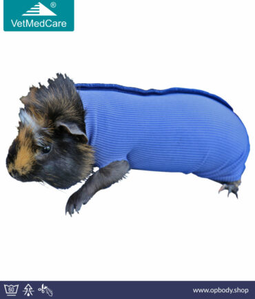 VetMedCare Safety Tube Beispiel Meerschwein